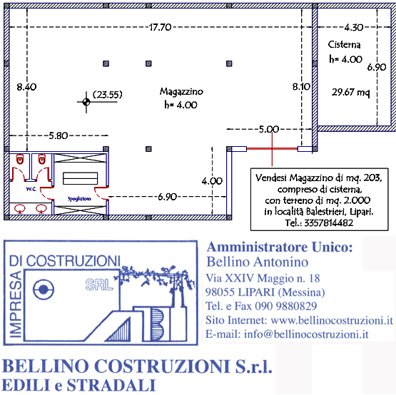 bellino-pianta.png