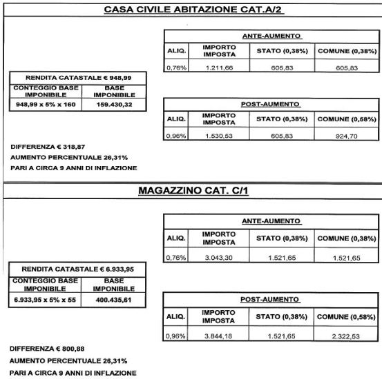 casaCat2.jpg