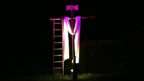 crucis15.jpg