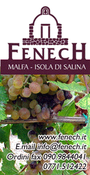 Notiziario delle eolie Fenech malvasia malfa salina